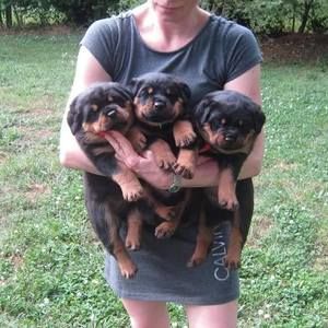 Meet your Posher, Michelle